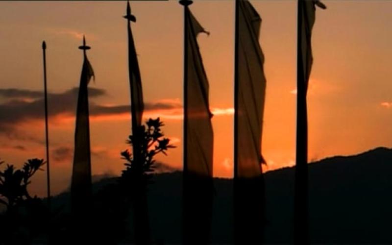 Preview image for the video "'a pig, a chicken and a bag of rice'".