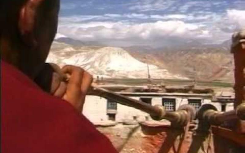 Preview image for the video "Mustang (2001) - ukázka".