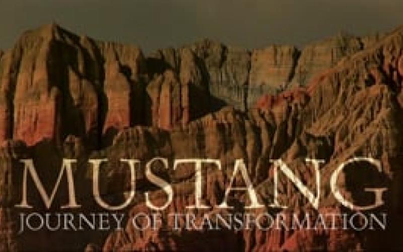 Preview image for the video "Mustang - Journey of Transformation".