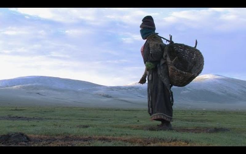 Preview image for the video "Summer Pasture - Trailer (2010)".